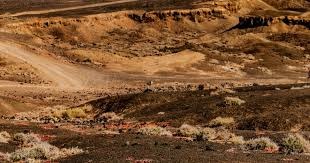 晋鹏翔：感谢每一位球迷，这一路有你们才够滚烫